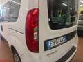 Fiat Maxi MAXI 1.4 Bz 95CV EU6 SX Trasporto Disabili Weiß - thumbnail 27