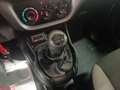 Fiat Maxi MAXI 1.4 Bz 95CV EU6 SX Trasporto Disabili Weiß - thumbnail 20