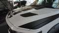 Dodge RAM 1500 HEMI 5.7 V8*hoch-breit*Leder*Navi*6Sitz Weiß - thumbnail 14