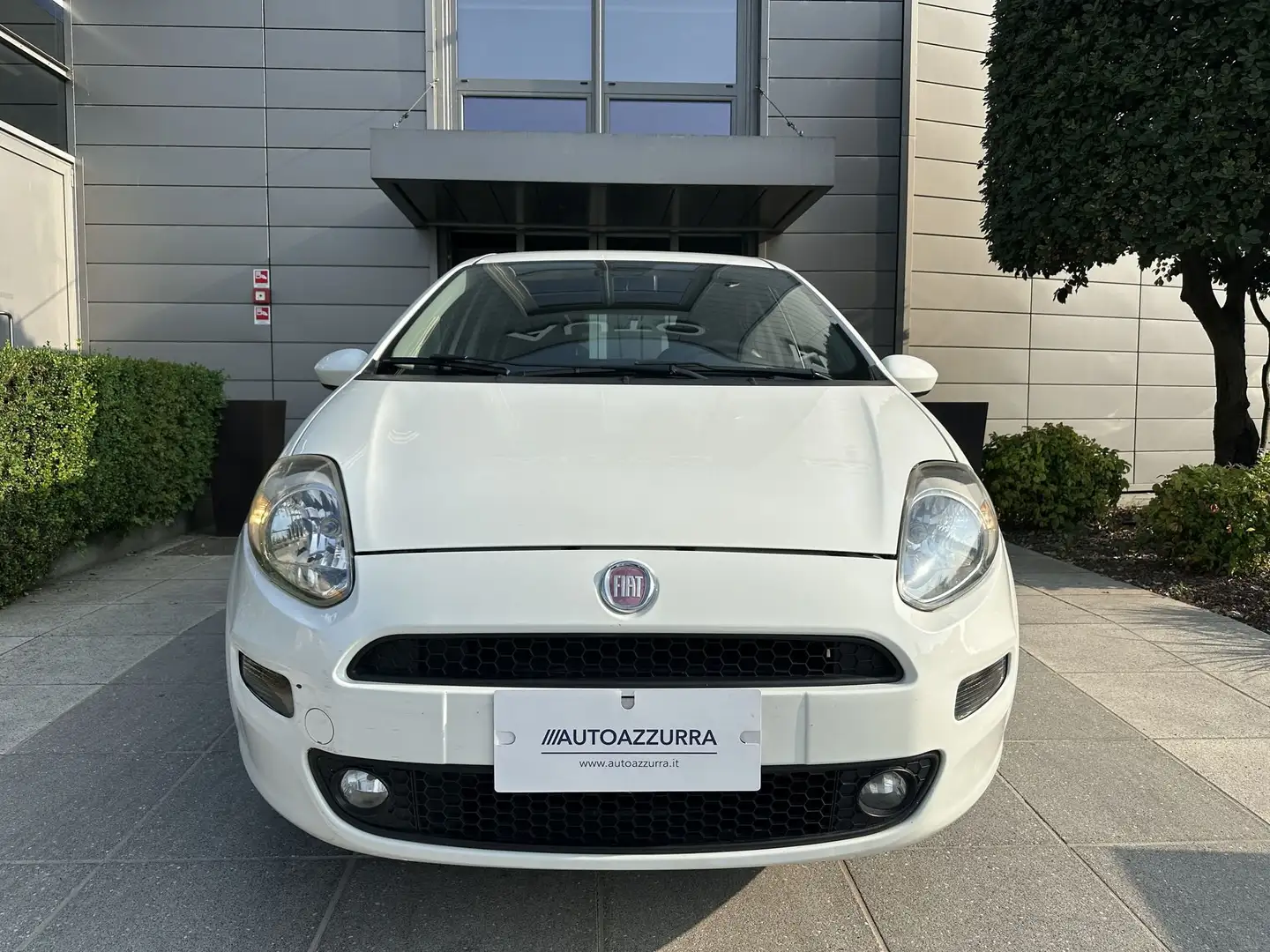 Fiat Punto Punto 1.2 8V 5 porte Street *CINGHIA SOSTITUITA K Wit - 2