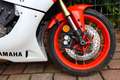 Yamaha XSR 900 SP | XSR900 GP ABS Oranje - thumbnail 14
