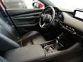 Mazda 3 X180 GT+/SO/PR/TE BIG DEAL Rot - thumbnail 15