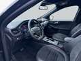 Ford Kuga 2.0 EcoBlue Aut. ST-LINE X Schwarz - thumbnail 9
