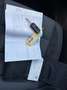 Volkswagen Golf 1.2 TSI Style BlueMotion AUTOMAAT / 159 DKM / DEAL Grau - thumbnail 4