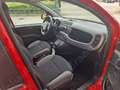 Fiat Panda Panda III 2021 1.0 firefly hybrid City Life s Rosso - thumbnail 5