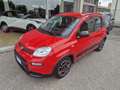 Fiat Panda Panda III 2021 1.0 firefly hybrid City Life s Rosso - thumbnail 1