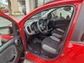 Fiat Panda Panda III 2021 1.0 firefly hybrid City Life s Rosso - thumbnail 4