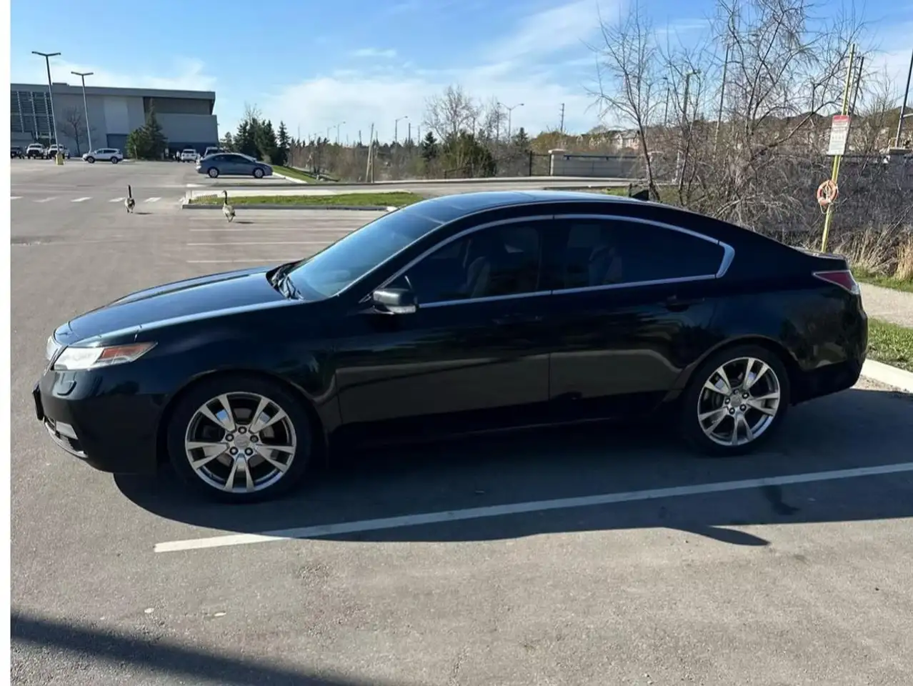 Acura TL снимка Acura TL