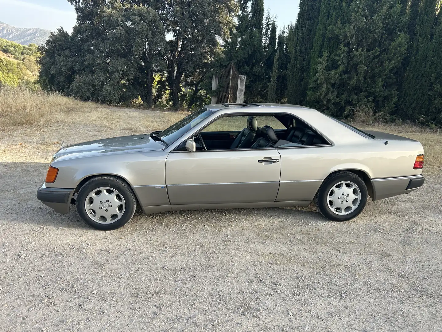 Mercedes-Benz CE 300 300CE-24 - 2