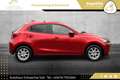 Mazda 2 G75 Takumi // 1.BESITZ // XENON // R-KAMERA // Rot - thumbnail 6