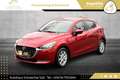 Mazda 2 G75 Takumi // 1.BESITZ // XENON // R-KAMERA // Rot - thumbnail 1