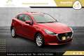 Mazda 2 G75 Takumi // 1.BESITZ // XENON // R-KAMERA // Rot - thumbnail 3
