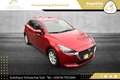 Mazda 2 G75 Takumi // 1.BESITZ // XENON // R-KAMERA // Rot - thumbnail 7