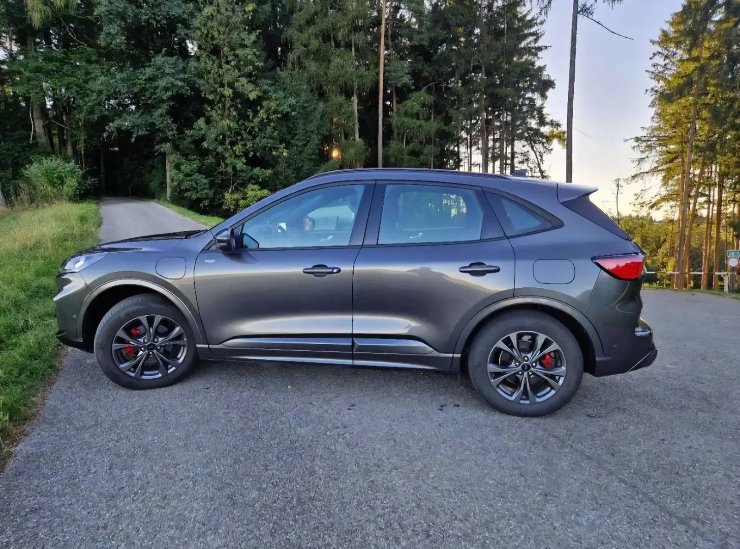 Ford Kuga Kuga 2,5 Duratec PHEV ST-Line Aut. ST-Line Grau - 1