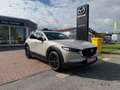 Mazda CX-30 2.5L e-SKYACTIV G 140ps 6MT Homura Beige - thumbnail 1