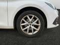 SEAT Leon ST 2.0TDI CR S&S Style 150 Blanco - thumbnail 22