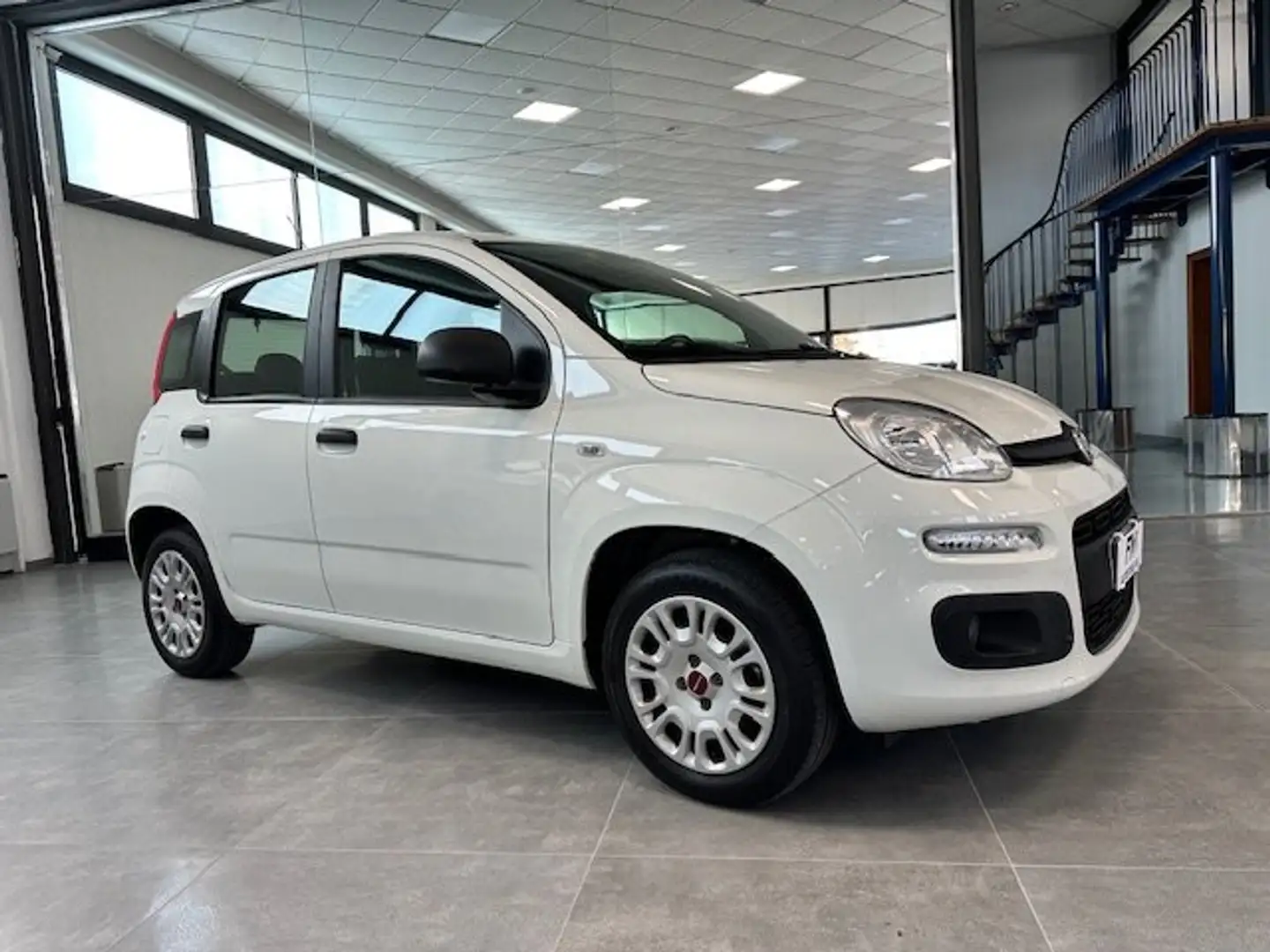 Fiat Panda Panda 1.2 Easy s Bianco - 1