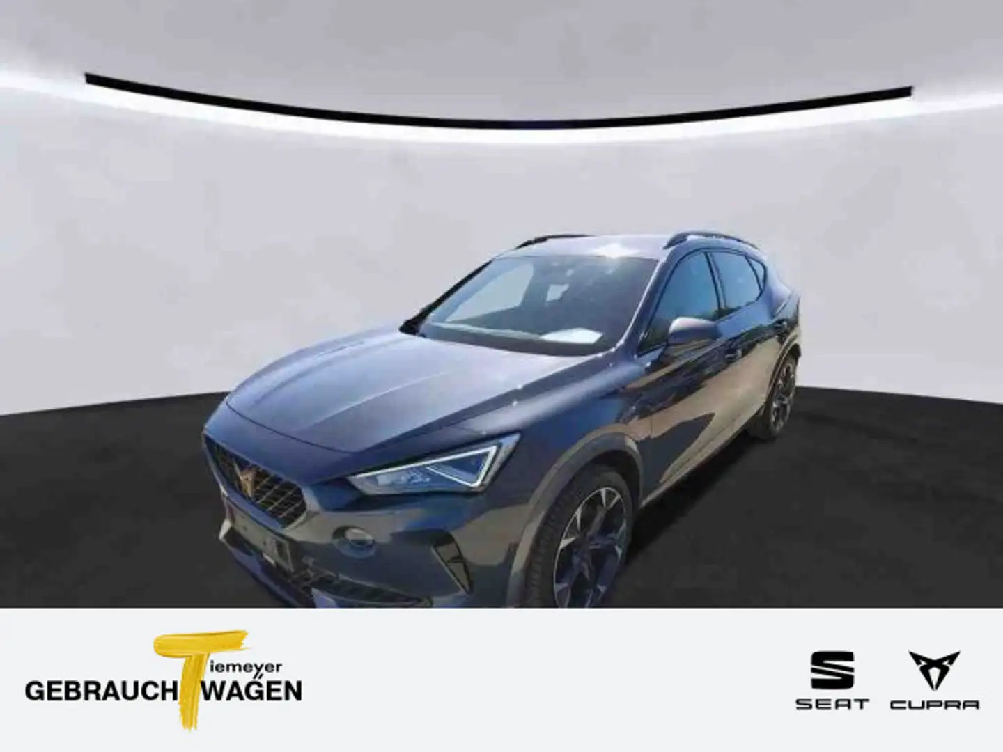 CUPRA Formentor VZ 2.0 TSI LM19 BEATS eKLAPPE KAMERA F Grau - 1