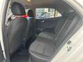 Kia Rio Rio 1.2 DPi 82 CV EcoGPL Urban Bianco - thumbnail 12