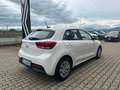 Kia Rio Rio 1.2 DPi 82 CV EcoGPL Urban Bianco - thumbnail 4