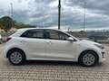 Kia Rio Rio 1.2 DPi 82 CV EcoGPL Urban Bianco - thumbnail 3