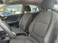 Kia Rio Rio 1.2 DPi 82 CV EcoGPL Urban Bianco - thumbnail 11