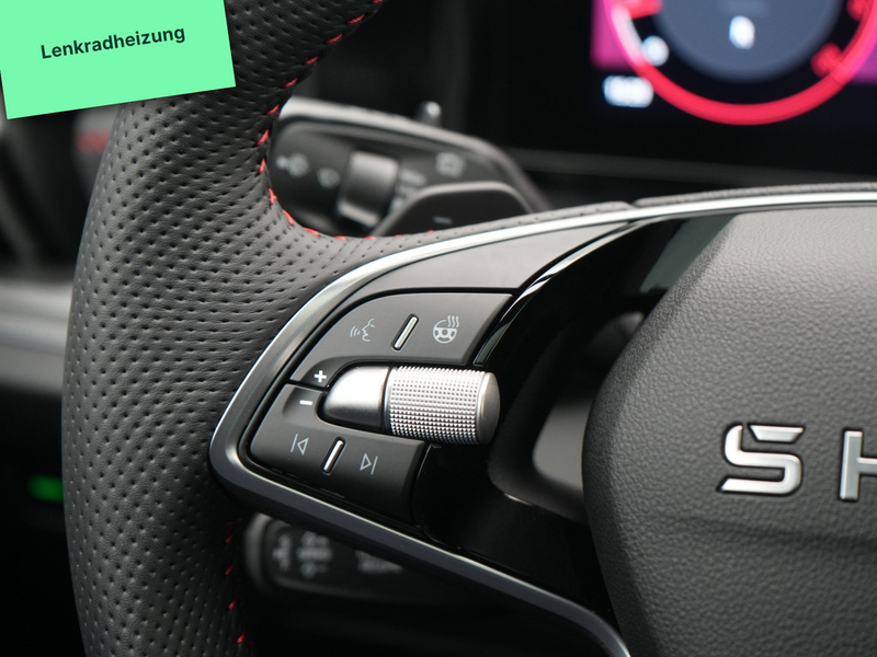 Skoda Kodiaq RS MATRIX AHK STANDHZ ACC KAM360° PANO — photo 13