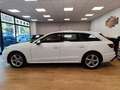 Audi A4 A4 Avant 40 TDI quattro S tronic Business Advanced Blanco - thumbnail 17