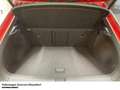 Volkswagen T-Roc 1.0 TSI R-Line Rückfahrkamera Sitzheizung Rot - thumbnail 8