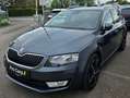 Skoda Octavia Octavia 1,6 TDI, 4X4 Allrad, Leder, RUCKFAHRKAMERA Grau - thumbnail 3