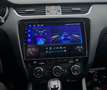 Skoda Octavia Octavia 1,6 TDI, 4X4 Allrad, Leder, RUCKFAHRKAMERA Grau - thumbnail 14