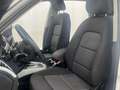 Audi Q5 Q5 2.0 TDI 190 CV  quattro S tr. Advanced Bianco - thumbnail 28