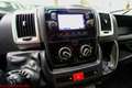 Fiat Ducato 35 LH2 2.3 mjt 140cv E6d - Navigatore&Telecamera Alb - thumbnail 24