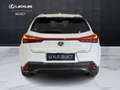 Lexus UX 250h UX 250h 2.0 Flare - F Sport 4wd cvt Bianco - thumbnail 12