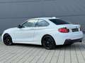 BMW M2 40 i Coupe B58M*Kamera*DrivAss*NaviProf*LED* Weiß - thumbnail 8