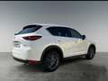 Mazda CX-5 CD150 AWD Attraction Aut.     8-fach bereift! Blanc - thumbnail 5