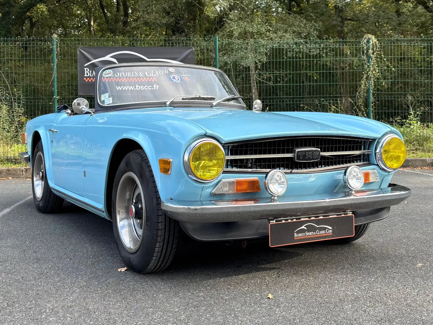 Triumph TR6 Ti Blauw - 1