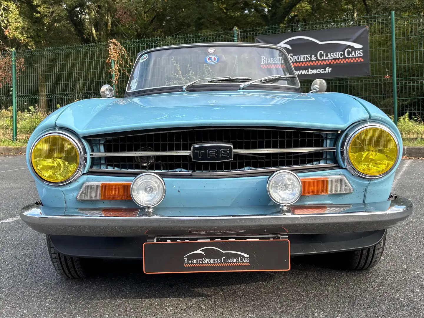 Triumph TR6 Ti Blauw - 2