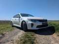 Kia Optima Optima+Sportswagon+2.0+T-GDI+Automatik+GT Weiß - thumbnail 2