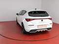 CUPRA Leon 1.5eTSI DSG 279,-ohne Anzahlung Navi Kamera Sitzh Weiß - thumbnail 28