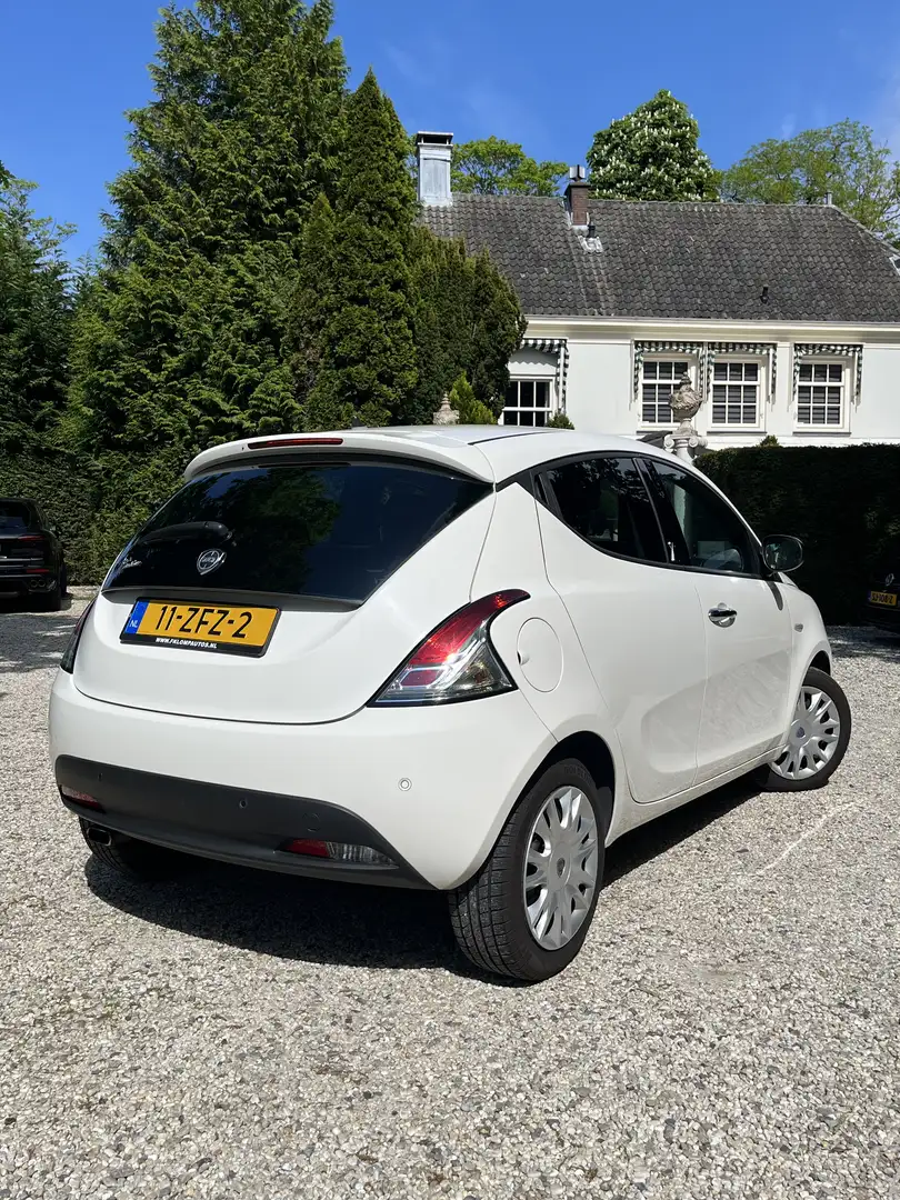 Lancia Ypsilon 0.9 TwinAir Gold (BT-audio|APK 6-26|cruise|airco) Wit - 2