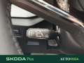 Skoda Kamiq 1.0 tsi ambition 110cv dsg Blu/Azzurro - thumbnail 12