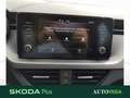 Skoda Kamiq 1.0 tsi ambition 110cv dsg Blu/Azzurro - thumbnail 15