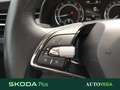 Skoda Kamiq 1.0 tsi ambition 110cv dsg Blu/Azzurro - thumbnail 10