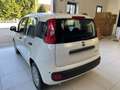 Fiat Panda Panda 1.0 FireFly S&S Hybrid Icon Blanc - thumbnail 4