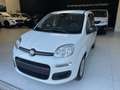 Fiat Panda Panda 1.0 FireFly S&S Hybrid Icon Blanc - thumbnail 3
