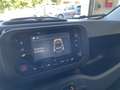 Fiat Panda Panda 1.0 FireFly S&S Hybrid Icon Blanc - thumbnail 17