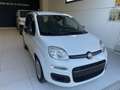 Fiat Panda Panda 1.0 FireFly S&S Hybrid Icon Blanc - thumbnail 1