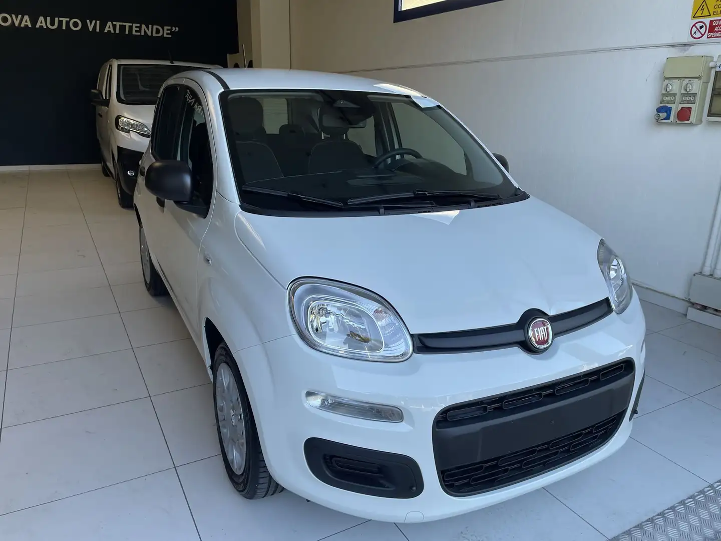 Fiat Panda Panda 1.0 FireFly S&S Hybrid Icon Bianco - 1