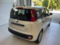 Fiat Panda Panda 1.0 FireFly S&S Hybrid Icon Blanc - thumbnail 6